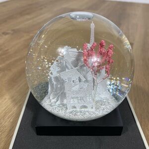 Cool Snow Globes Paris Scene White and Pink 2016 new in box